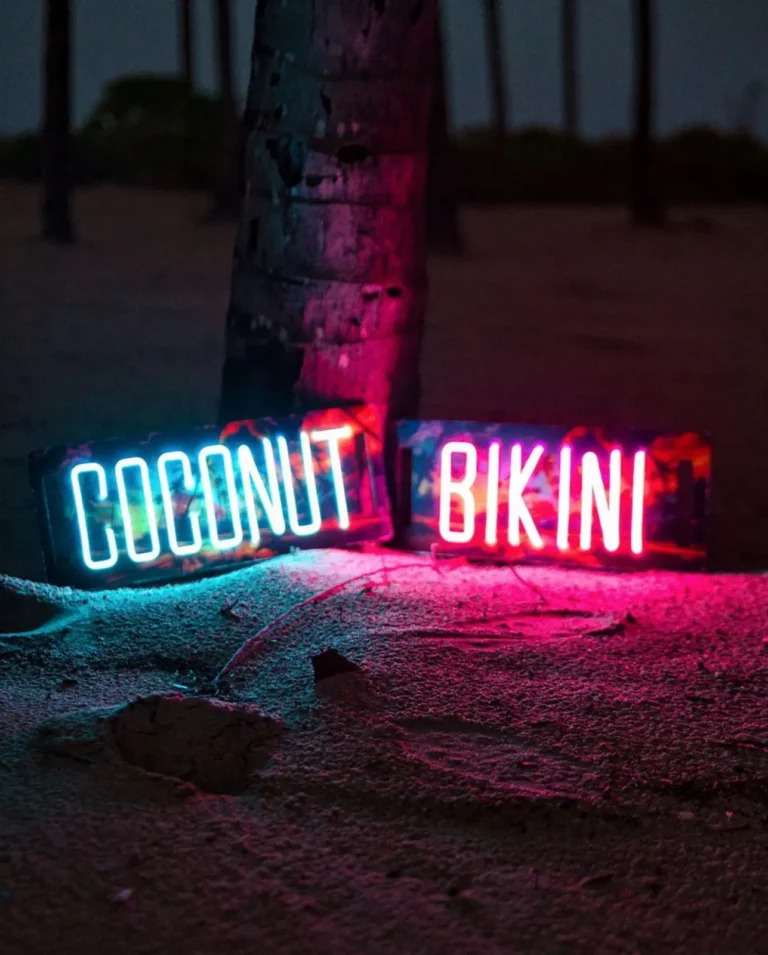 coconut-vikini