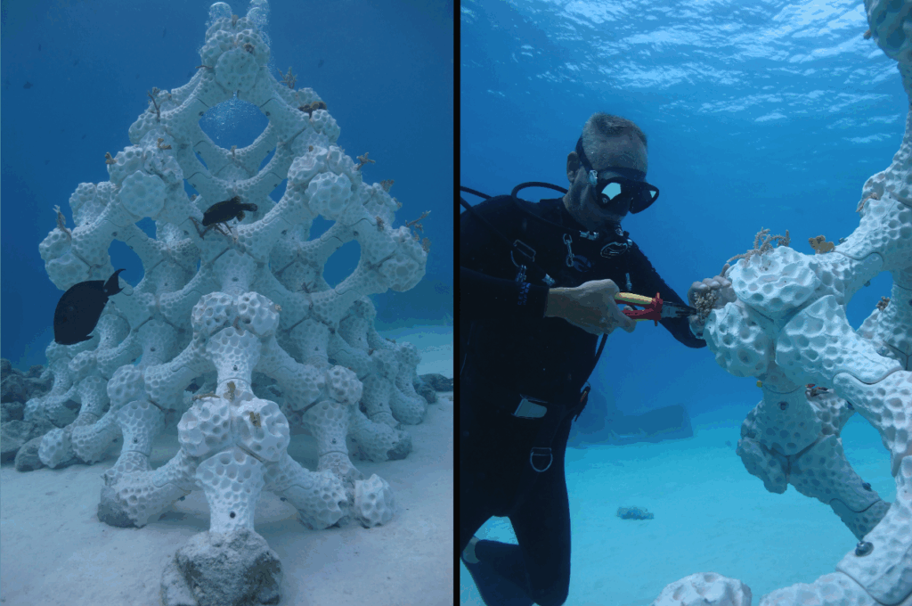 reef-restoration