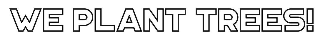 We plant trees! - Image 3