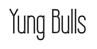 Yung Bulls - Image 3