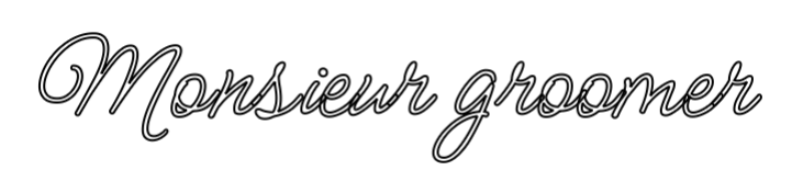 Monsieur groomer - Image 3
